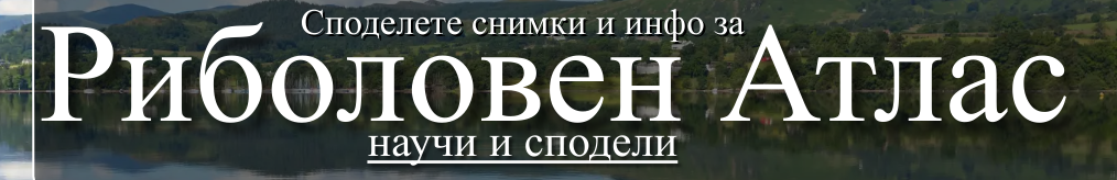 Сподели информация за водоем